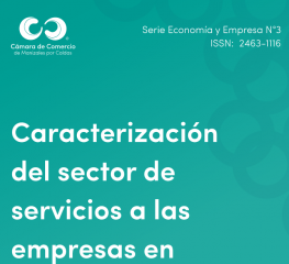 Caracterización del sector de servicios a las empresas en Manizales