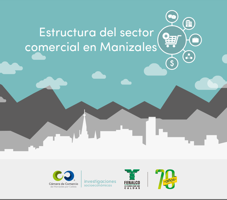 Infografía Estructura del sector comercial de Manizales (noviembre 2016)