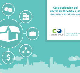 Infografía caracterización servicios a las empresas en Manizales (junio 2016)