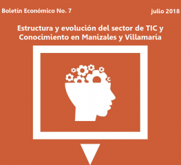 Estructura y evolución del sector de TIC y Conocimiento en Manizales y Villamaría