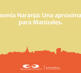 Economía Naranja: Una aproximación para Manizales.