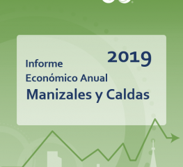 INFORME ECONÓMICO ANUAL DE MANIZALES Y CALDAS 2019
